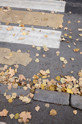 Similar image 22208213