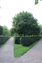 Similar image 22208214