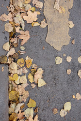 Similar image 22208384