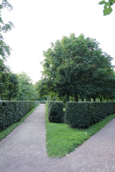 Similar image 22208385