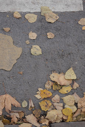 Similar image 22208386