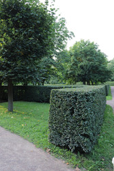 Similar image 22208387