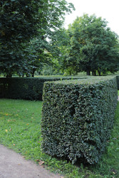 Similar image 22208389