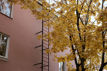 Similar image 22208390