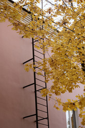 Similar image 22208392