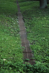 Similar image 22208393