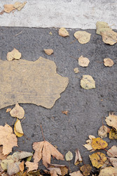 Similar image 22208394