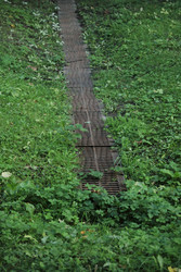 Similar image 22208395