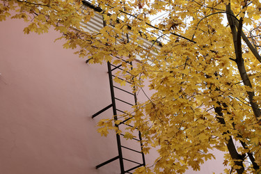 Similar image 22208396