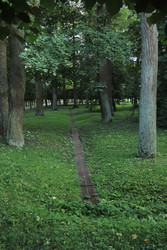 Similar image 22208399