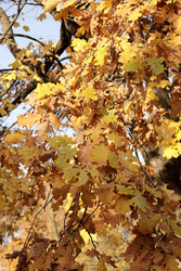 Similar image 22208513