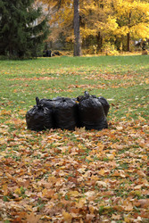 Similar image 22208514