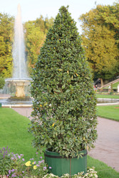 Similar image 22208521