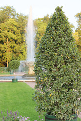 Similar image 22208522