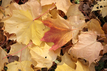 Similar image 22208524