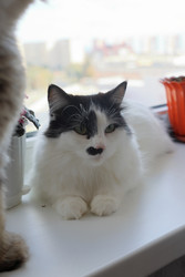 Similar image 22208525