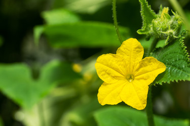 Similar image 22197503