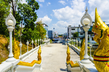 Similar image 22197636