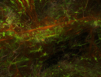 Similar image 22198707