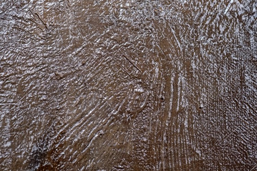 Similar image 22200312