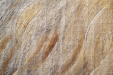 Similar image 22200313