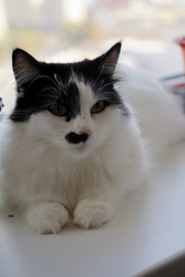 Similar image 22207714