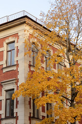 Similar image 22207715