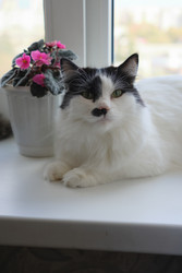 Similar image 22207717