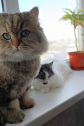 Similar image 22207719