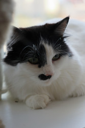 Similar image 22207721