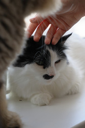 Similar image 22207723