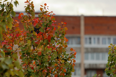 Similar image 22207727