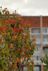 Similar image 22207729