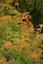 Similar image 22207897