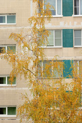 Similar image 22208215