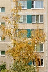 Similar image 22208217