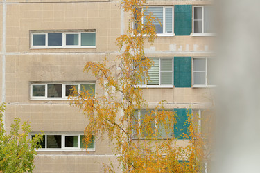 Similar image 22208219