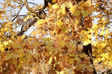 Similar image 22208220