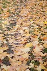 Similar image 22208221