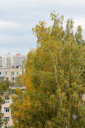 Similar image 22208222