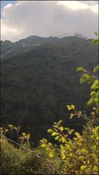 Similar image 22208225