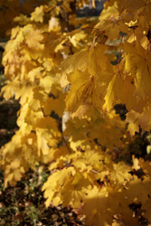 Similar image 22208226