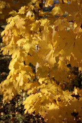 Similar image 22208228