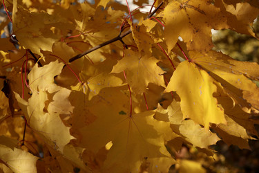 Similar image 22208230