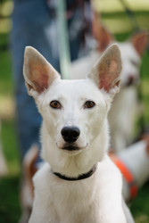 Similar image 22208231