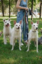 Similar image 22208237