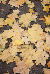 Similar image 22208238