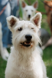 Similar image 22208239