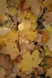 Similar image 22208240