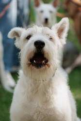 Similar image 22208241